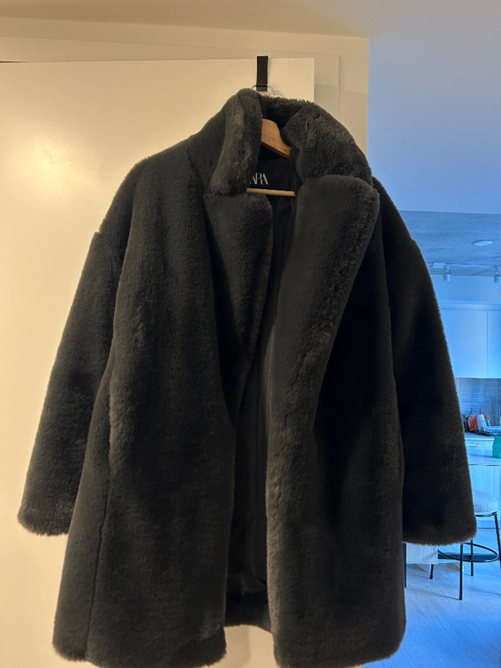 Zara Fur Coat